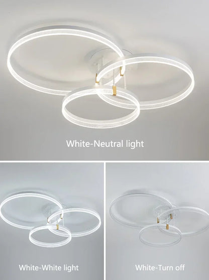 Living room lamp 2024 new Nordic s simple modern atmospheric lighting ceiling creative bedroom    LED lights
