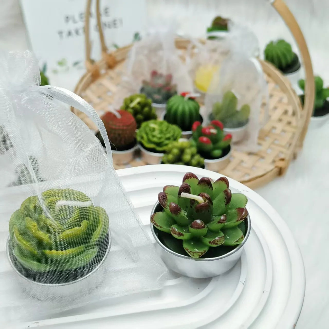 20 Pcs Succulent Candle : Baby Shower Favors w/ Candles , Organza Bags & Wooden Sign for Weddings, Parties, Home Decor