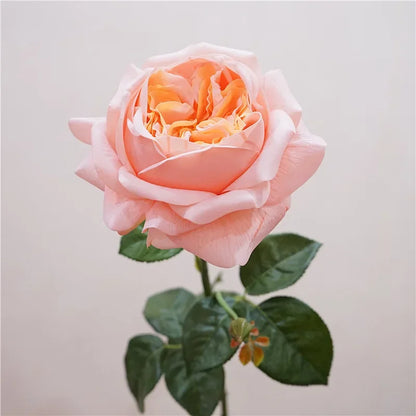 5Pcs Feel Moist Austin Latex Rose Real Touch Artificial Flowers Luxury Home Decoration Party Event Wedding Roses Floral Bouquet
