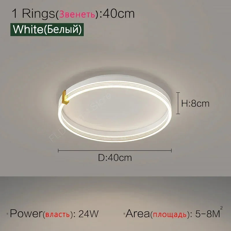 Living room lamp 2024 new Nordic s simple modern atmospheric lighting ceiling creative bedroom    LED lights