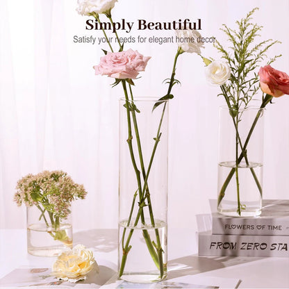 Glass Cylinder Vases 4/6/8 Inch Tall Clear Vases for Centerpieces Weeding Decoration, Clear Glass Flower Vases Hurricane