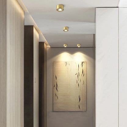 Living Room Background Wall LED Tube Light Adjustable Angle Surface Mounted Copper Spotlight Corridor Fitting Room Ceiling Light