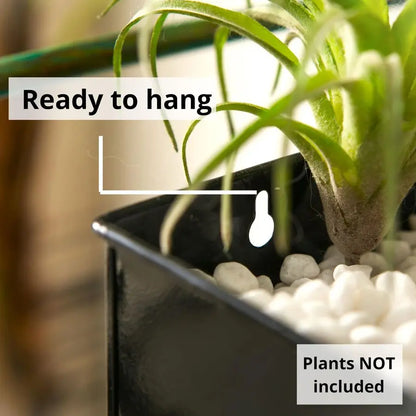 Indoor Wall Planter 3 Pack, 16 Inch Large Wall Mounted Succulent Planters, Black Rectangular Metal Hanging Flower Pot, Long Wind