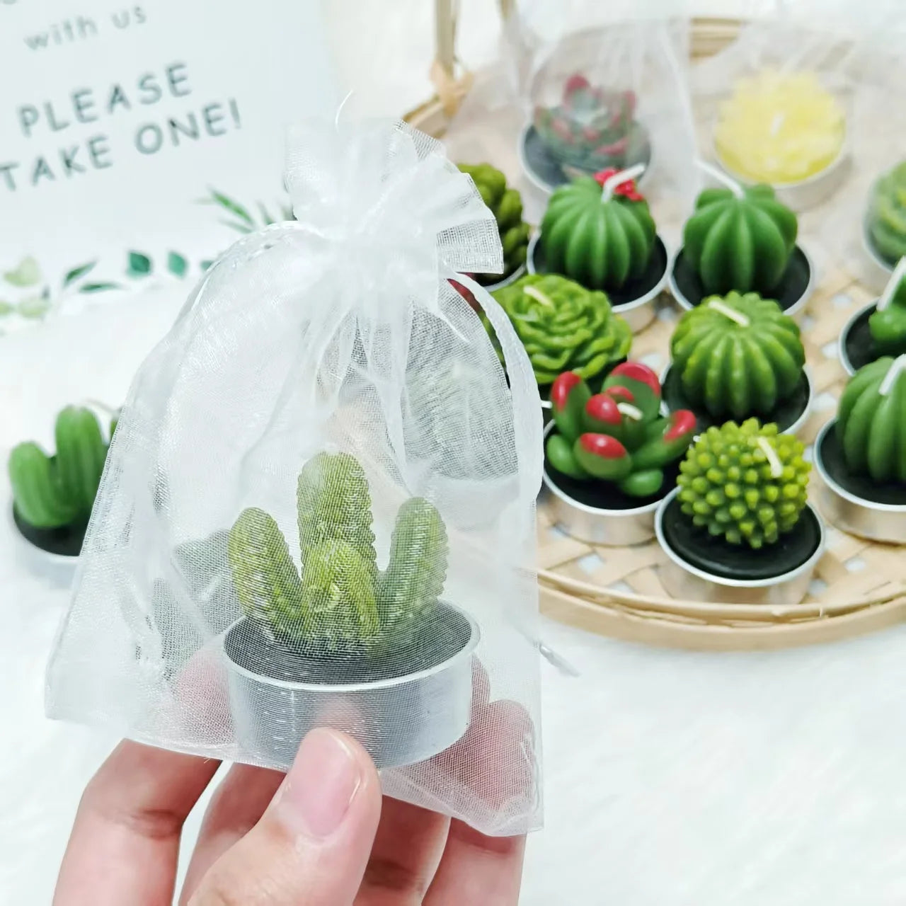 20 Pcs Succulent Candle : Baby Shower Favors w/ Candles , Organza Bags & Wooden Sign for Weddings, Parties, Home Decor