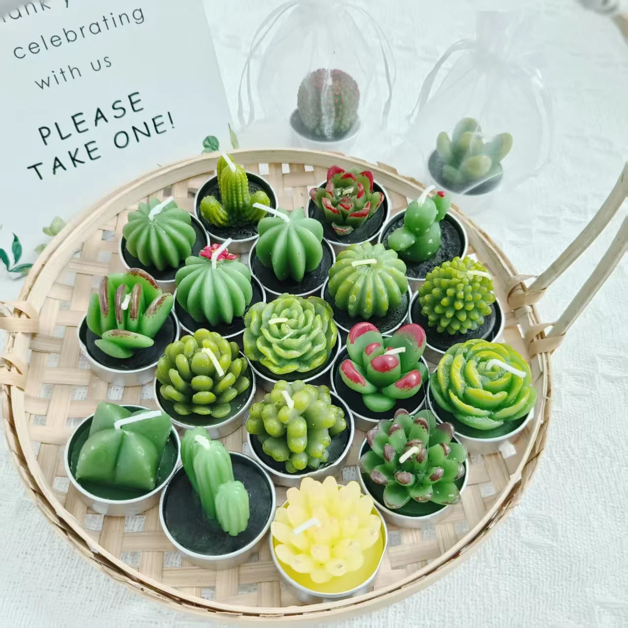 20 Pcs Succulent Candle : Baby Shower Favors w/ Candles , Organza Bags & Wooden Sign for Weddings, Parties, Home Decor