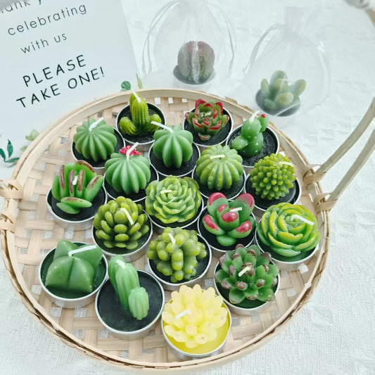 20 Pcs Succulent Candle : Baby Shower Favors w/ Candles , Organza Bags & Wooden Sign for Weddings, Parties, Home Decor