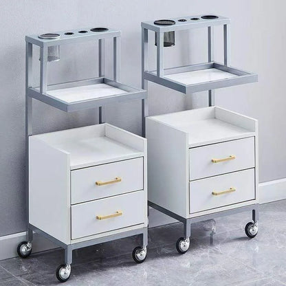 High Quality Modern Hair Salon Storage Cabinet Popular Stainless Steel Tool Cart for Barber Shop Home Use Stylish Living Room