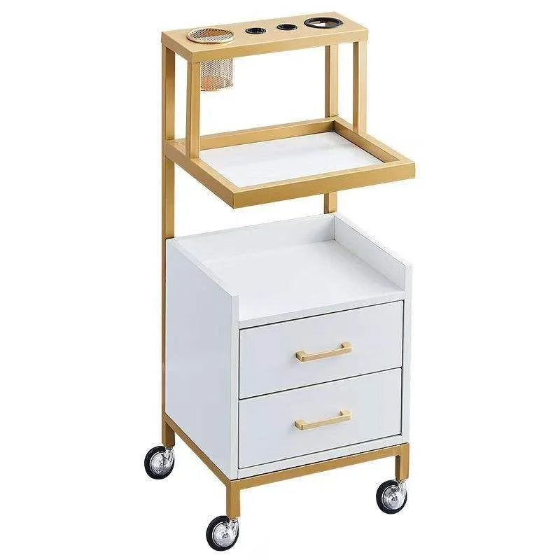 High Quality Modern Hair Salon Storage Cabinet Popular Stainless Steel Tool Cart for Barber Shop Home Use Stylish Living Room