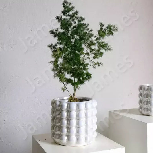 Vase Nordic Style Vases Personalized Ceramic Flower Pot Simple Solid Color Vase Ceramic Vases Living Room Decor Flower Jar Box