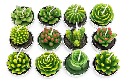 12pcs Mini Cactus Candles Succulent Greenery Candles Flameless Tea Light Candles Suitable for Party Wedding Home Decoration
