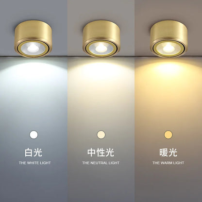 Living Room Background Wall LED Tube Light Adjustable Angle Surface Mounted Copper Spotlight Corridor Fitting Room Ceiling Light